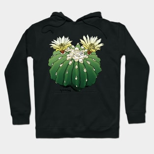 Ferocactus by Agacactus Hoodie